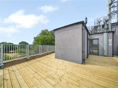 Picture 20